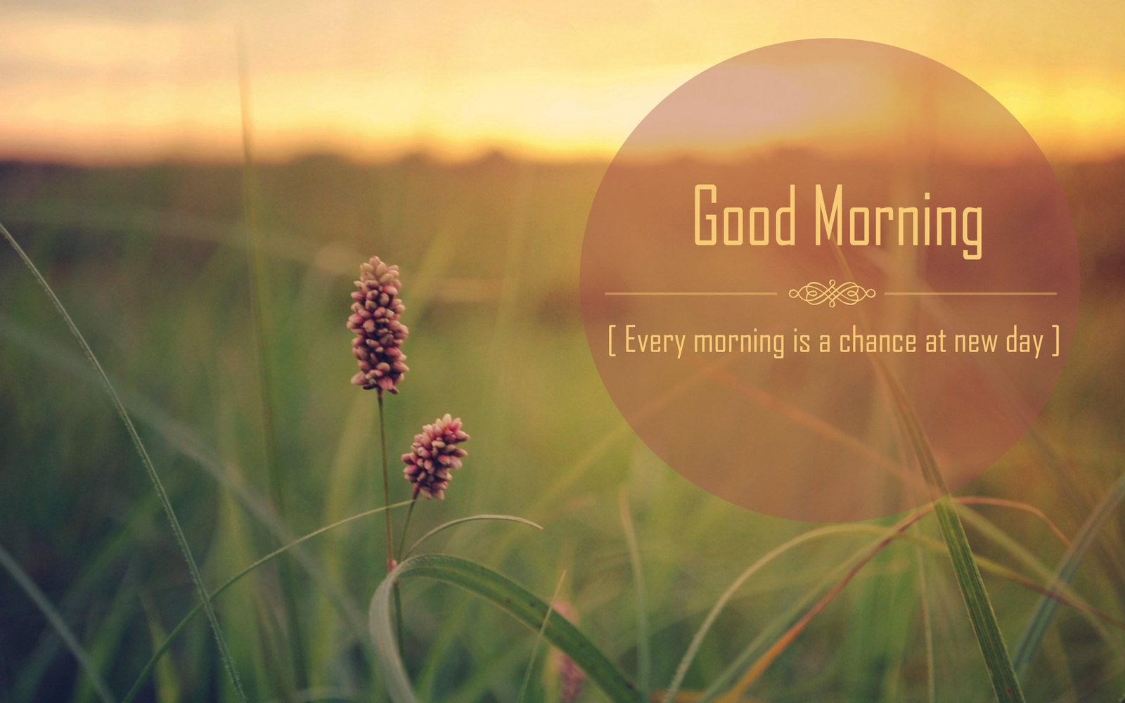 28-best-good-morning-quotes