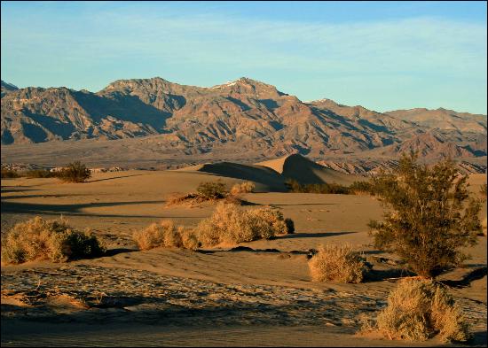 mesquite-flat-sand-dunes