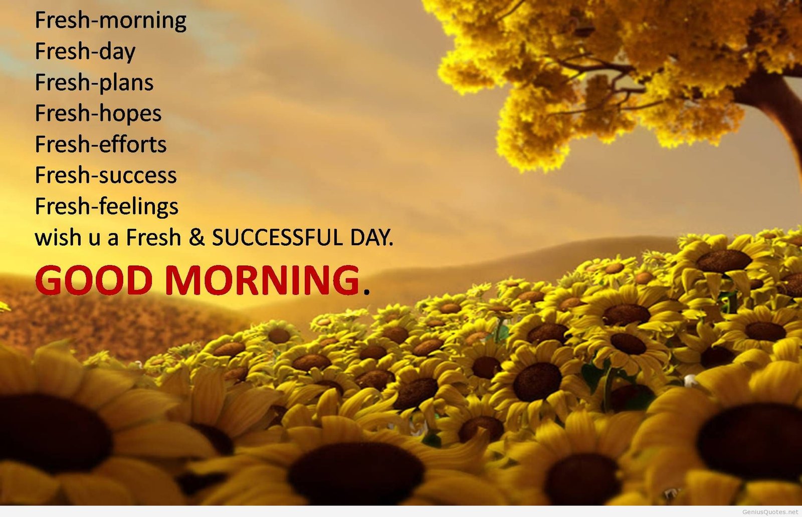 28 Best Good Morning Quotes – The Wow Style