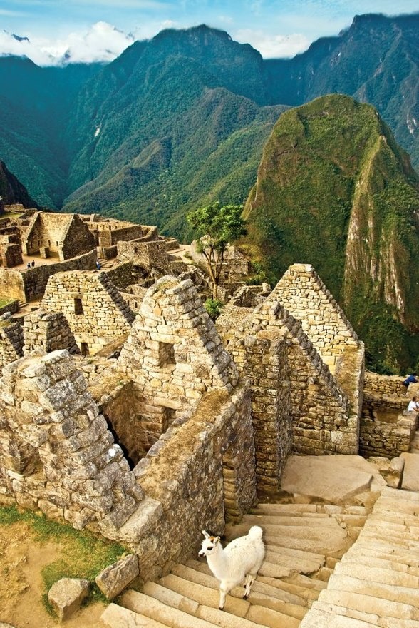 the-Machu-Picchu