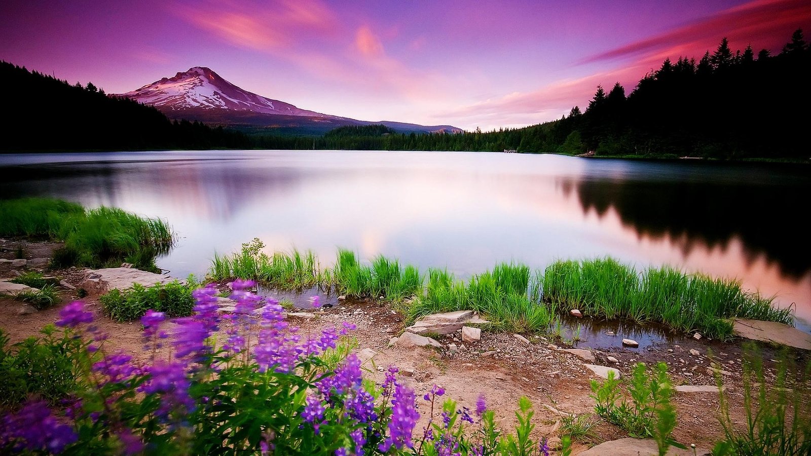 Beautiful Natural Images For Your Desktop The WoW Style