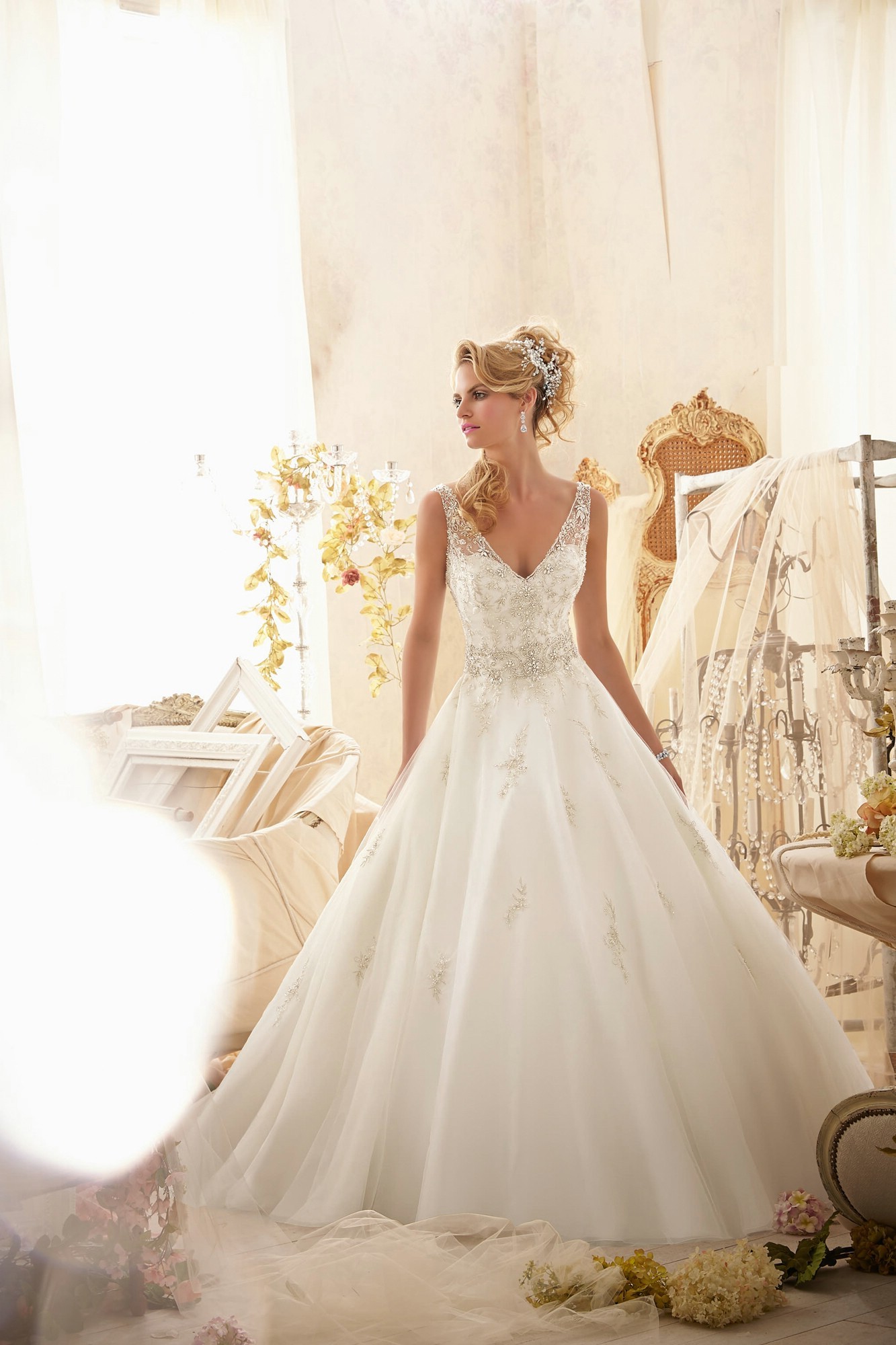 The Irresistible Attraction of Ball Gown Wedding Dresses