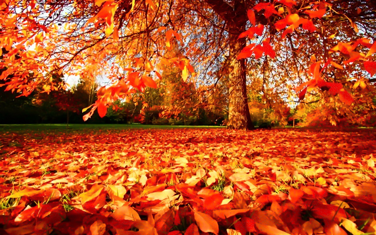 Beautiful Autumn Wallpapers – The WoW Style