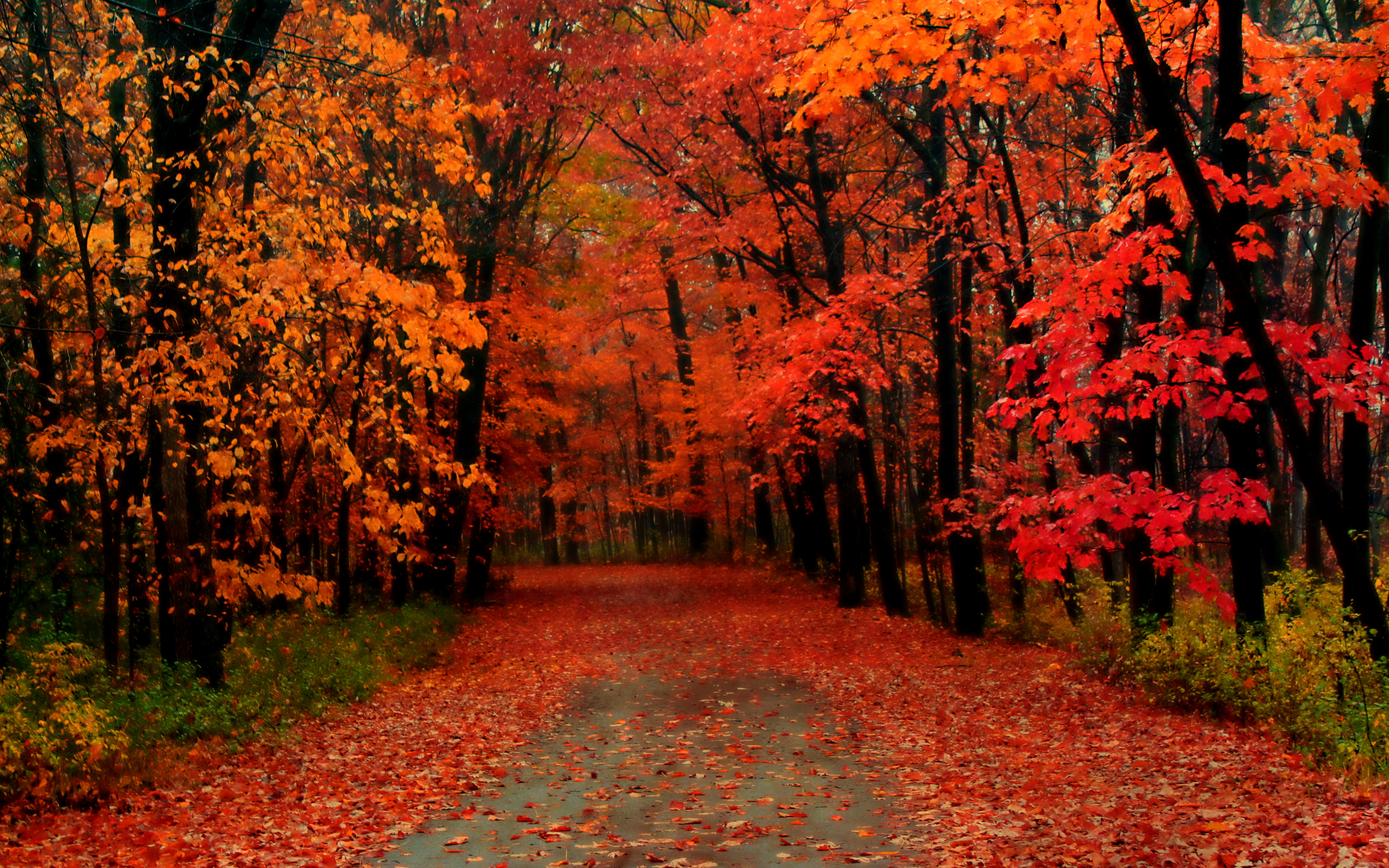 Beautiful Autumn Wallpapers – The WoW Style
