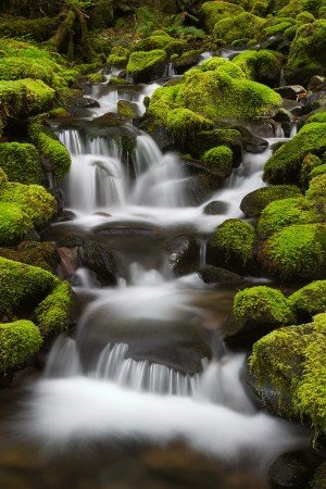 Travel Olympic National Park in Washington, USA – The WoW Style