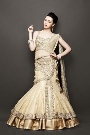 Indian Bride Dress Idea And Inspiration