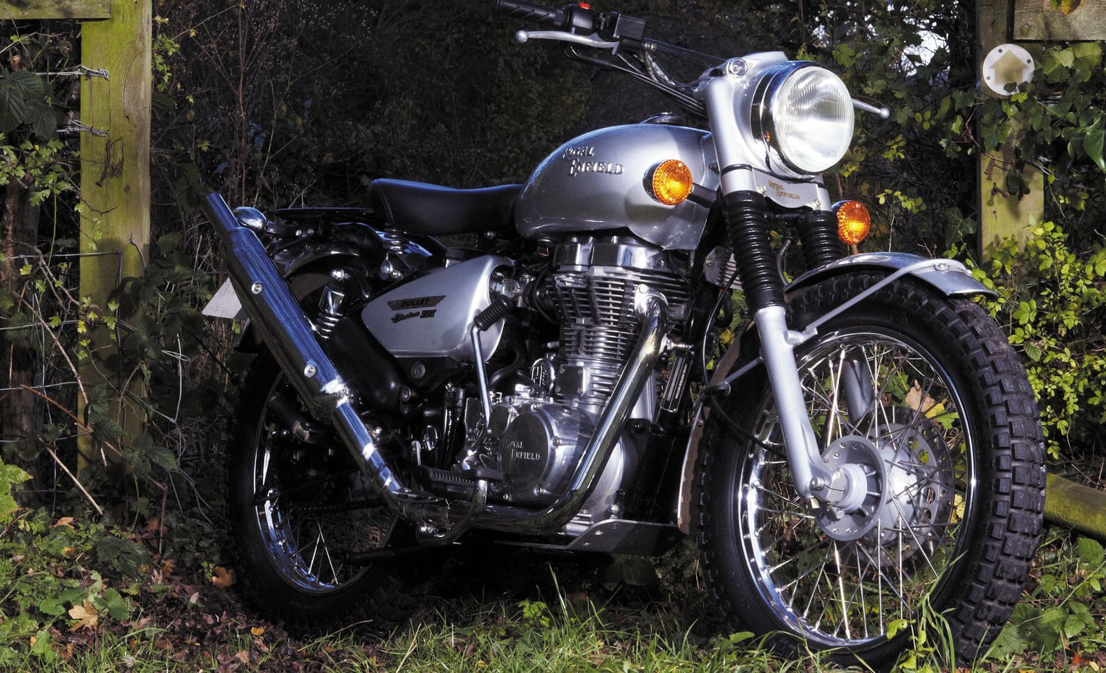 royal enfield tayar