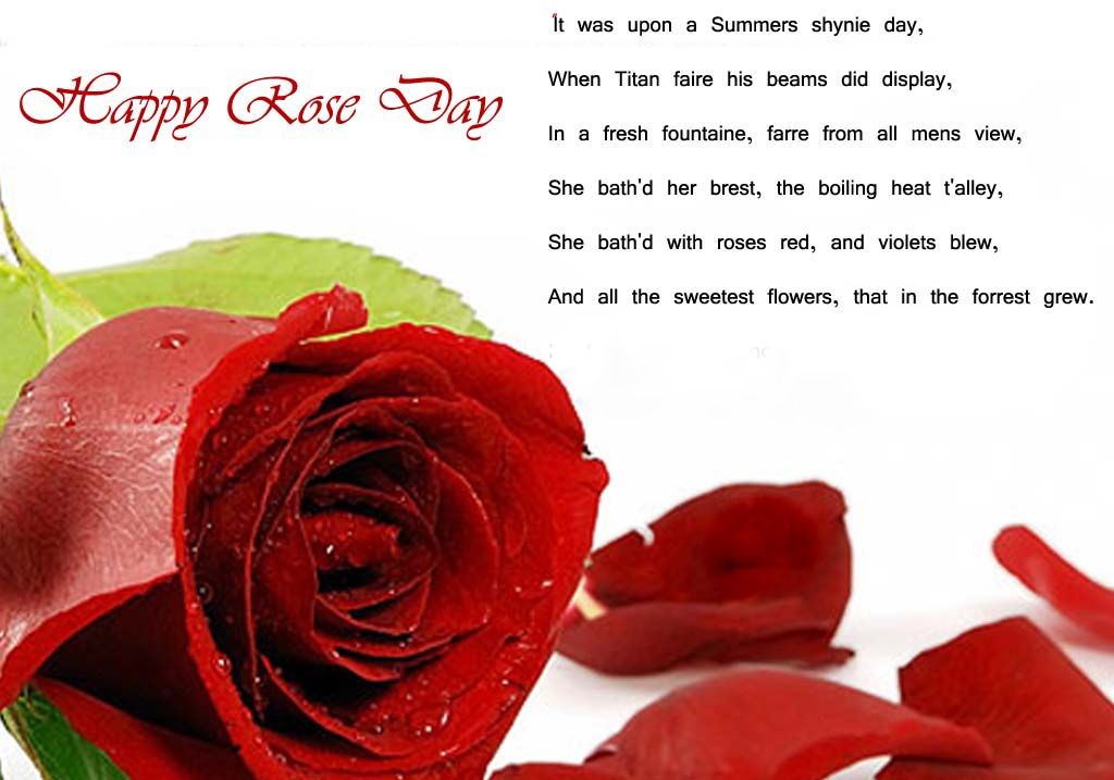Rose Day Quotes 6