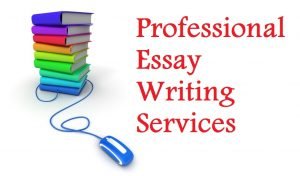 Career Guidelines From Academic Essay Writing Quality