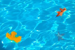 Learn 5 Easy Ways To Maintain Your Swimming Pool