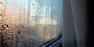 Ways to Eliminate Winter Condensation