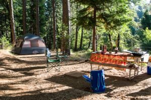 Camping Tips You Should Know & Things to Pack