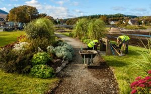 Tips and Guide to Make your Garden Clean