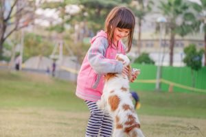 How to Train Your Dog With Positive Reinforcement