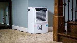 Tips to Get the Most from Your Top-Rated Home Dehumidifier