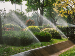 A Splash of Inspiration – How to Choose a Sprinkler System