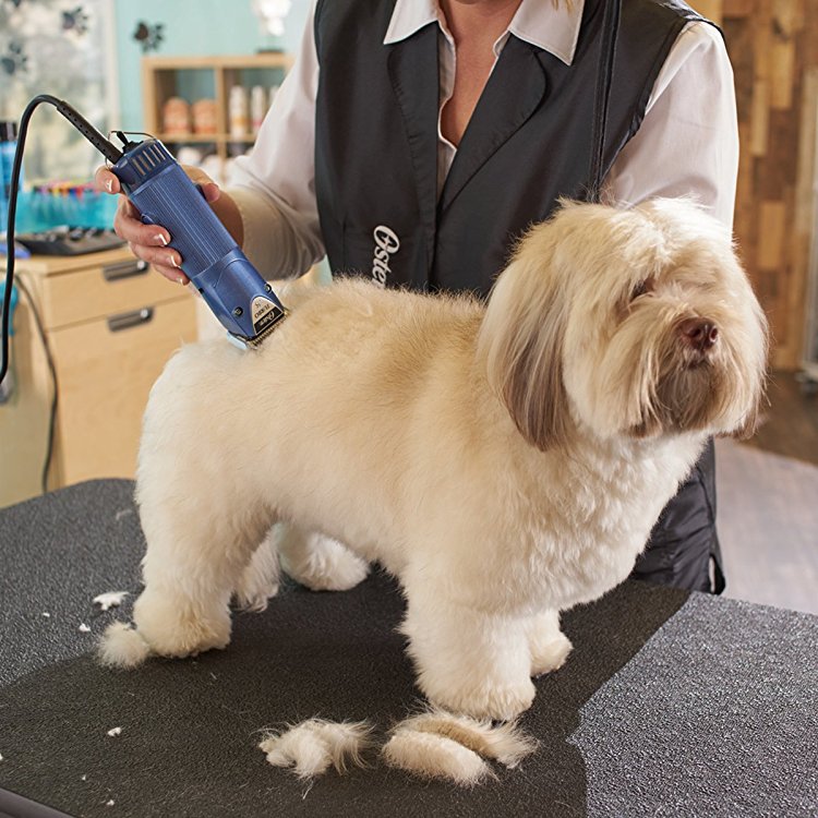 best cordless dog clippers 2018