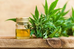 How to make Sure You’re Buying Quality CBD OIL