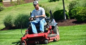 The ABCs of Lawn Care: How to Keep Your Yard Green and Healthy