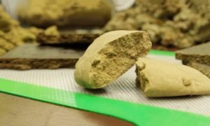 5 Untold Organic Benefits Of Hash