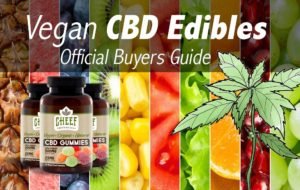 Why Vegan-Organic CBD Edibles are Better Than Other CBD Edibles