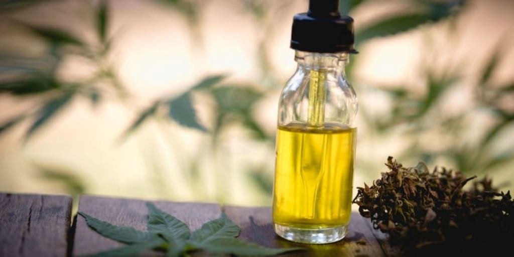 Does Hemp Seed Oil Contain CBD? Understand The Difference