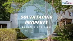 South Facing Property- Benefits and Tips