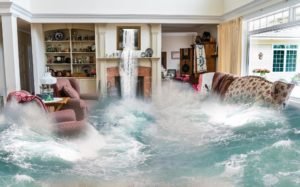 4 Features of Water Damage Restoration Firm You Must Know