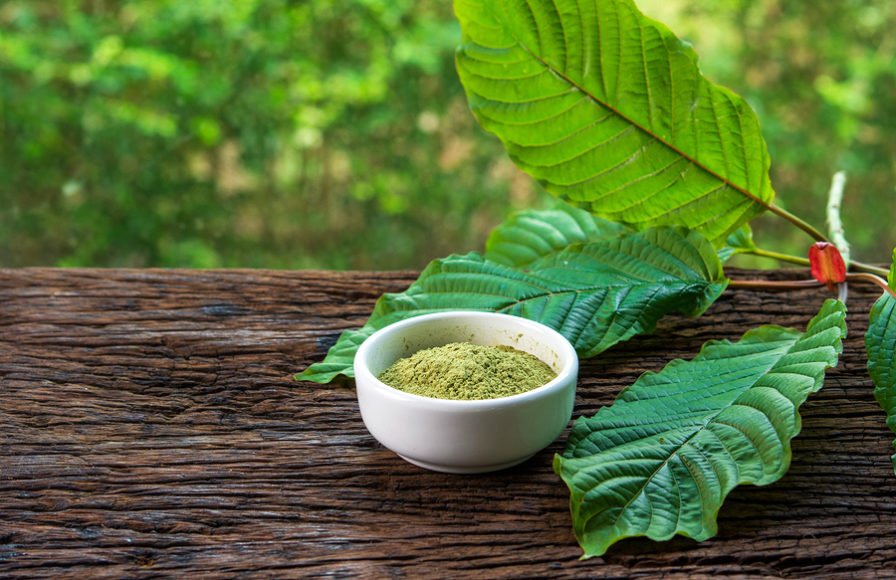 What Do the Different Colors of Kratom Mean? Decoding the Spectrum of This Powerful Plant