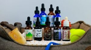5 Best CBD Oil Companies to Buy From in 2020
