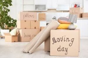 4 Most Common Problems of Moving and Relocation Consulting Services