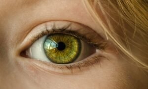 Not to Be Overlooked! The Importance of Eye and Vision Care
