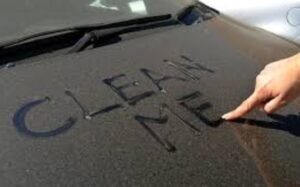 Can Pollen Damage Your Car Paint?