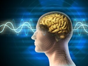 Nootropics to Improve Cognition