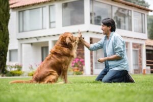 Seven Advantages in Adopting Rescue Dogs