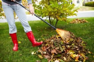 6 Hacks To Rake The Leaves For A Spotless Lawn