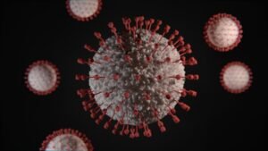 Useful Resources With Access To Accurate Information About Covid-19 Virus