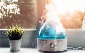 Dispelling the 5 Misconceptions about Humidifiers!