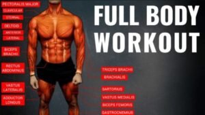 Full Body Workouts for Men to Get Ripped