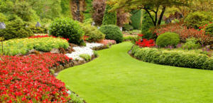 Top Reasons Why Regular Lawn Care Maintenance Should be Your Priority