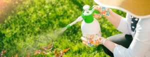Why Families With Kids and Pets Should Switch to Organic Pest Control