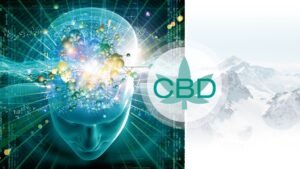 What You Need To Know About CBD