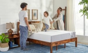 What to Look for in a Mattress – A Comprehensive Buying Guide