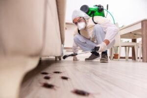 How to Choose a Pest Control Company You Can Actually Trust