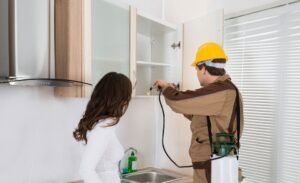 What to Consider When Hiring a Pest Control company