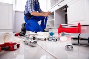 What Your Professional Plumber In Perth Wishes You Knew