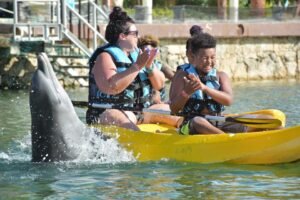 A Full Day of Activities in The Puerto Aventuras