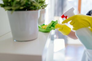 Importance of Choosing the Right Cleaning Services