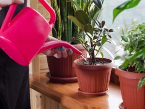 How to Make Homemade Pesticide for Any Plants in 9 Ways