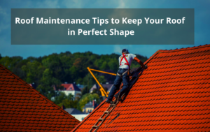 Best Roof Maintenance Tips to Keep Your Roof in Perfect Shape